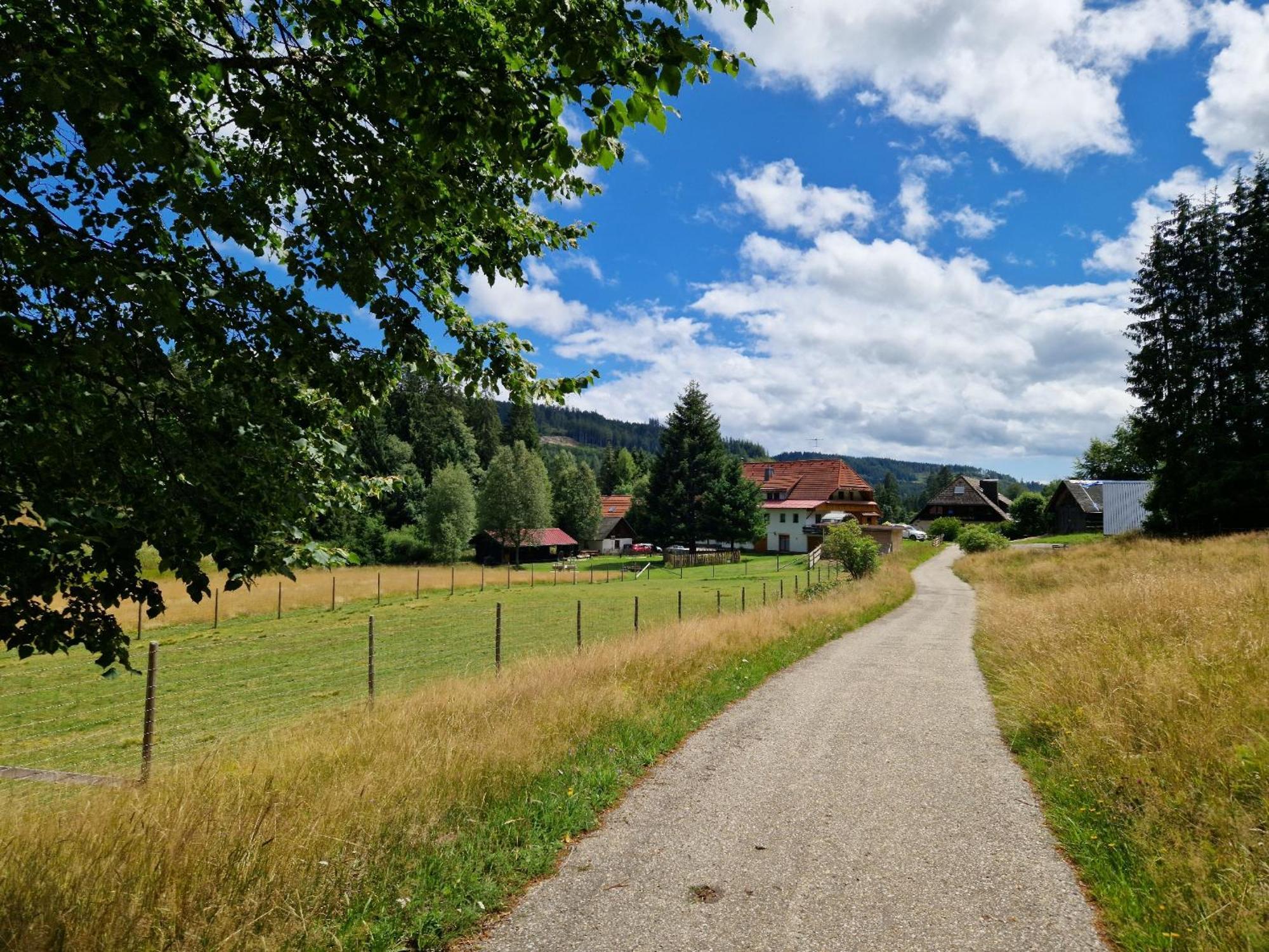 Villa Altes Zollhuesli Schluchsee Exterior foto